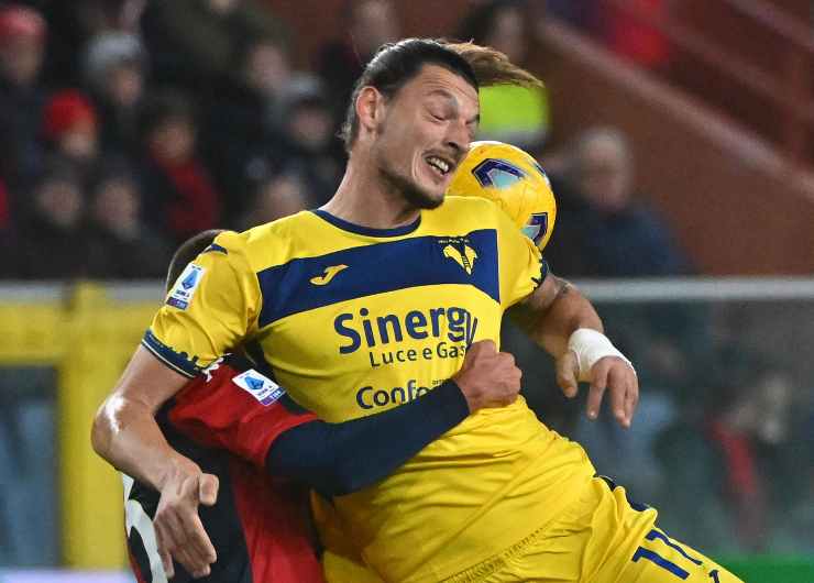 bani marca djuric